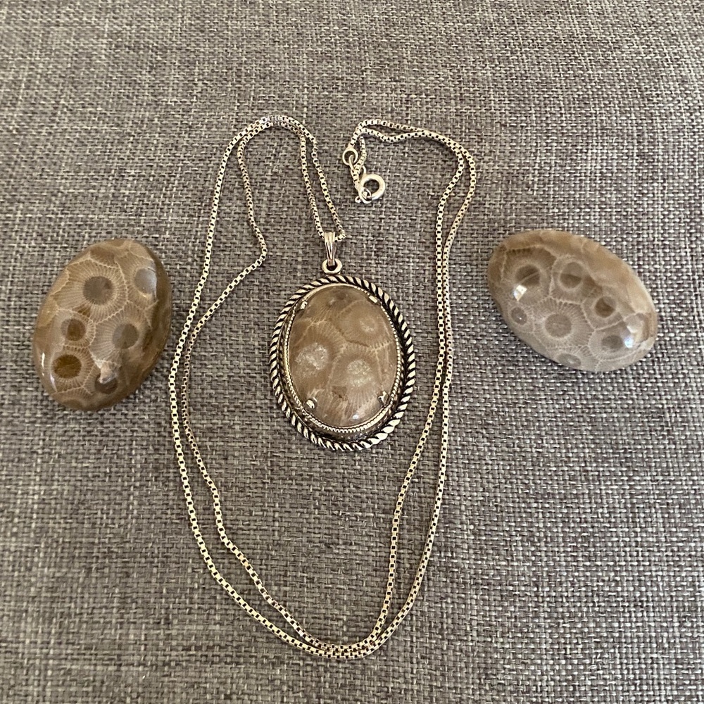 Sterling Silver Necklace with Petoskey Pendant and Earrings (Set)